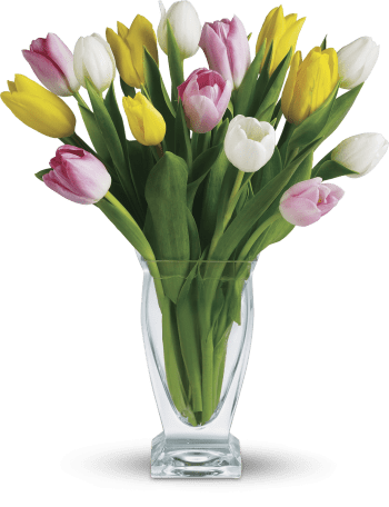 Teleflora's Tulip Treasure