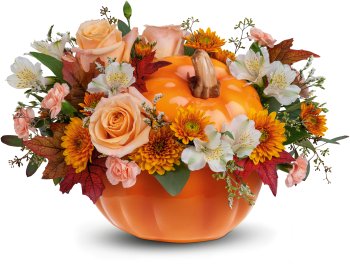 Teleflora's Hello Pumpkin Bouquet
