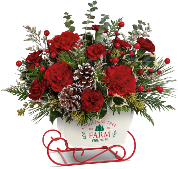 Teleflora's Snow What Fun Bouquet