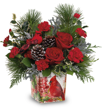 Teleflora's Cardinal Cheer Bouquet