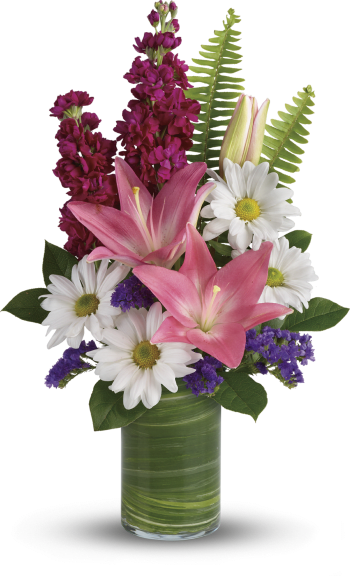 Teleflora's Playful Daisy Bouquet