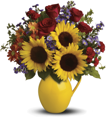 Teleflora's Sunny Day Pitcher of Joy