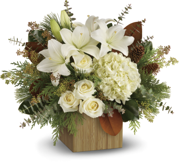 Teleflora's Snowy Woods Bouquet