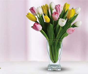 Teleflora's Tulip Treasure