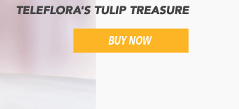 Teleflora's Tulip Treasure