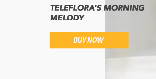 Teleflora's Morning Melody