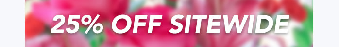 — 25% OFF SITEWIDE —
