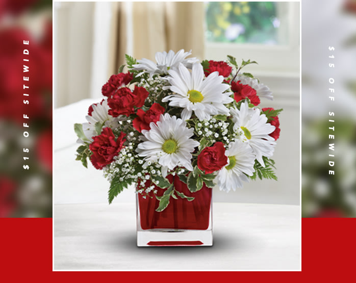 Red And White Delight by Teleflora