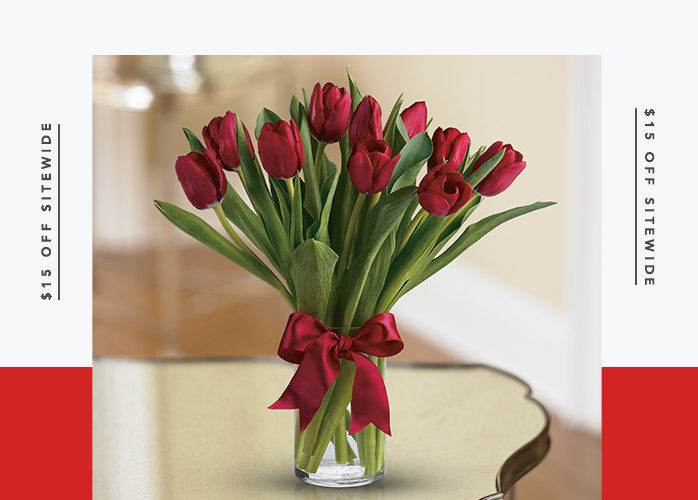 Radiantly Red Tulips