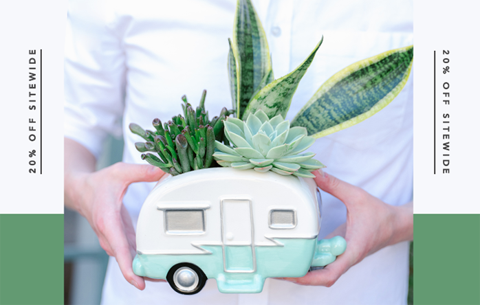 Teleflora's Cool Camper Succulent Garden