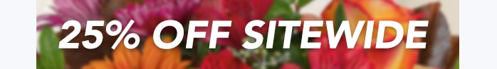 HOT NEW FALL FLOWERS