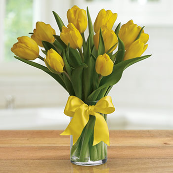 Sunny Yellow Tulips