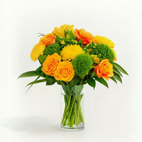 Standard Subscriptions bouquet