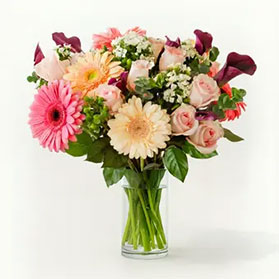 Premium Subscriptions bouquet