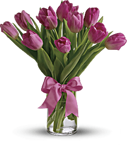 Precious Pink Tulips