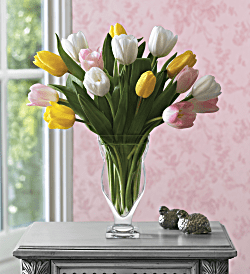 Teleflora's Tulip Treasure