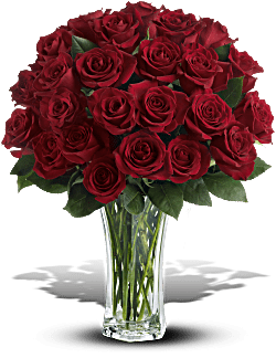 Love and Devotion - Long Stemmed Red Roses