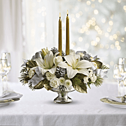 Teleflora's Winter Wilds Centerpiece