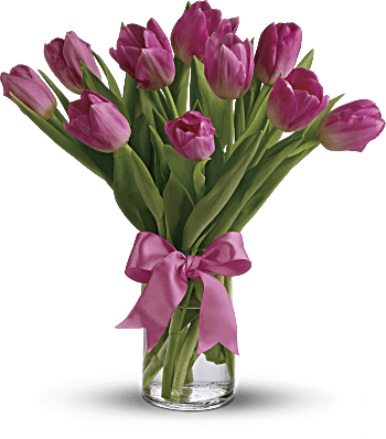 Preciosos tulipanes rosados