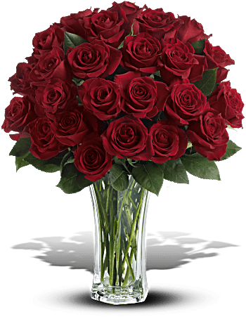 Amor y devoción - Rosas rojas de tallo largo