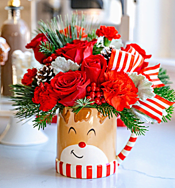 Teleflora's Send A Hug® Reindeer Wish Bouquet