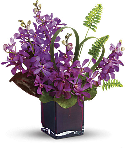 La princesa de la isla de Teleflora: orquídeas moradas con hojas tropicales y helechos en un elegante cubo de vidrio de color ciruela.