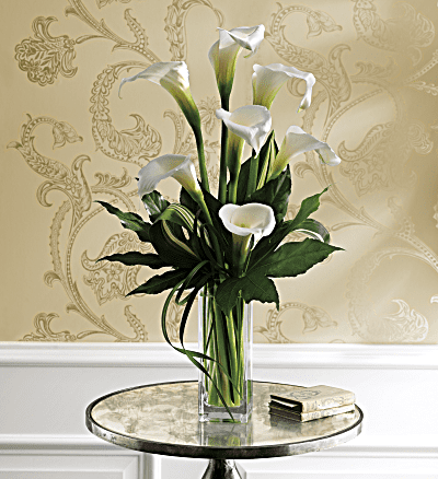 Calla on sale lily meaning