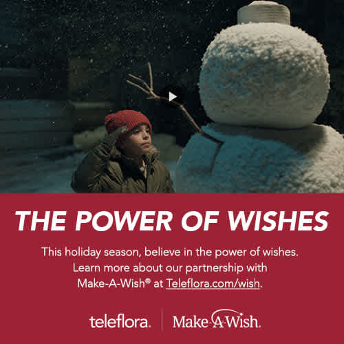 The Power of Wishes