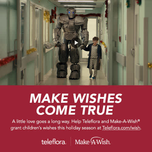 Make Wishes Come True