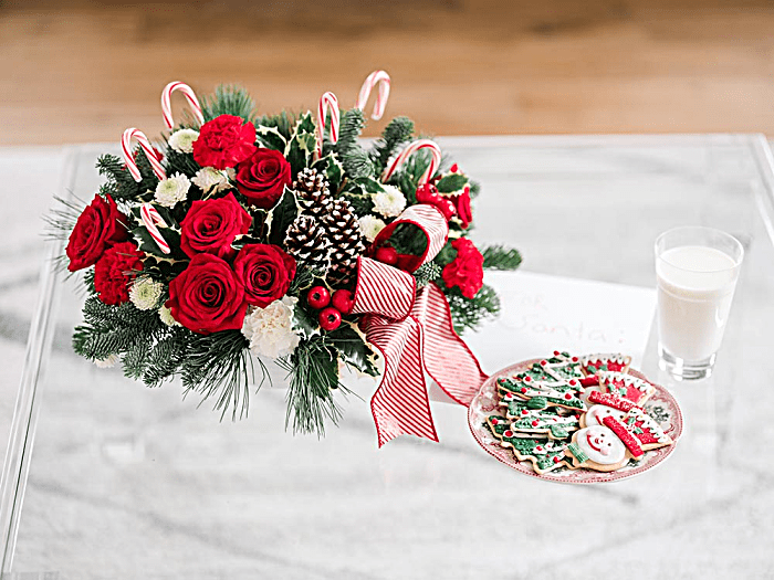 Christmas Flowers and Their Meanings