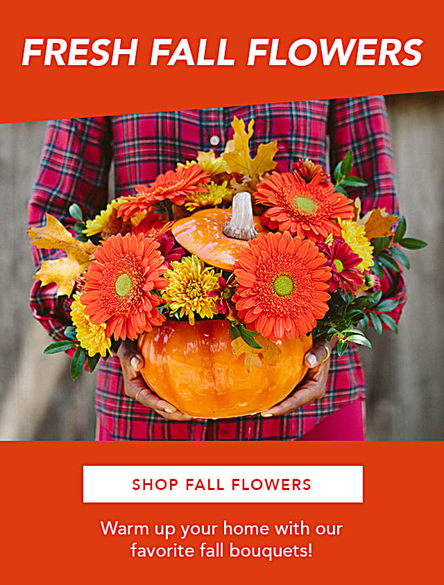 Order Flowers Online Flowers Near Me Teleflora