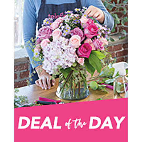Deal of the Day