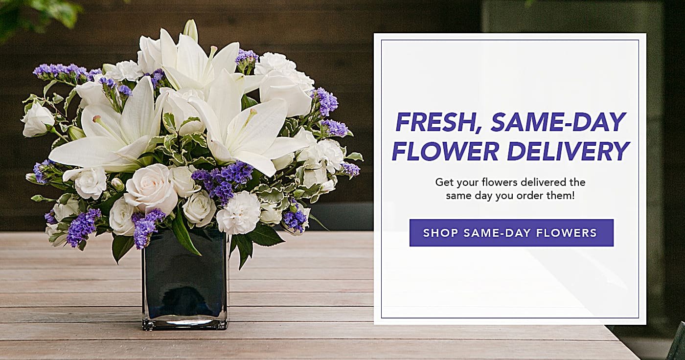 Order Flowers Online Flowers Near Me Teleflora Though floweraura, you can send online flowers to indore to your loved ones, even if you are far away. order flowers online flowers near me