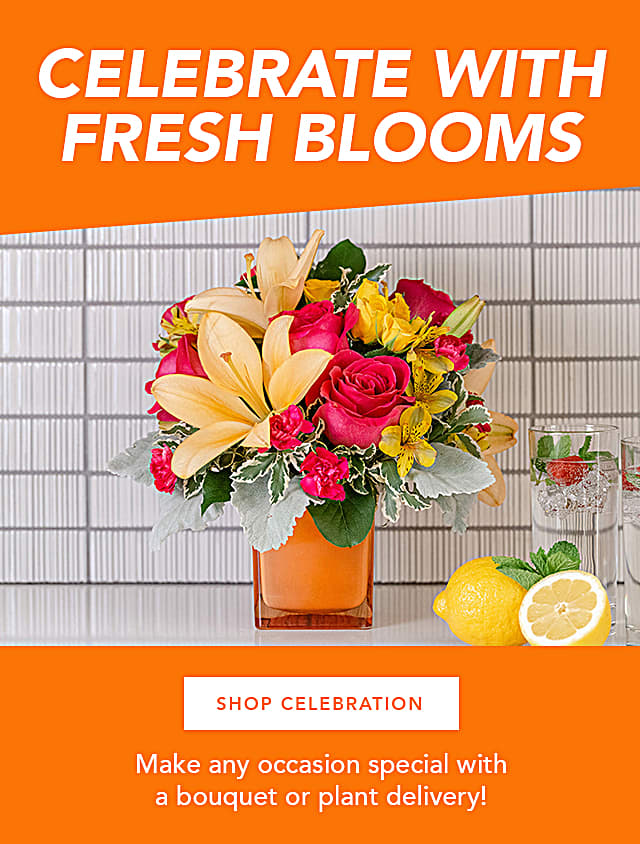 Just Flowers Customer Service Hours Best Flower Site