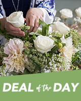Deal of the Day Flowers