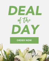 Zip Code Lookup | Mixed Bouquets | Same Day Flower Delivery | Pink | Teleflora
