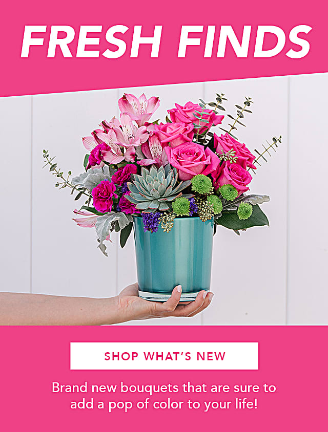Order Flowers Online Flowers Near Me Teleflora