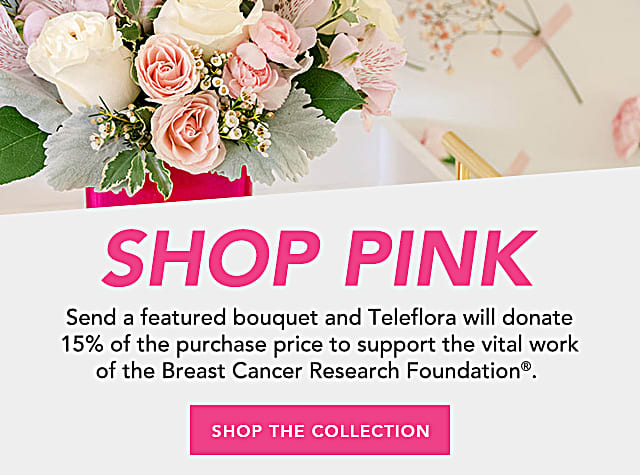 Support the Breast Cancer Research Foundation