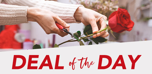 Deal of the Day - by Beehive Florist & Gifts