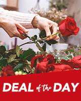 Deal of the Day Flowers