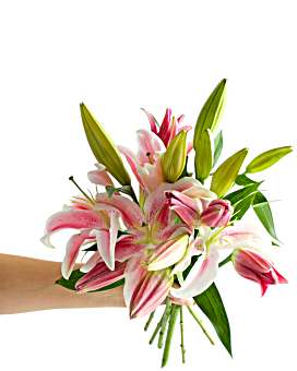 Farm Fresh Lily Bouquet