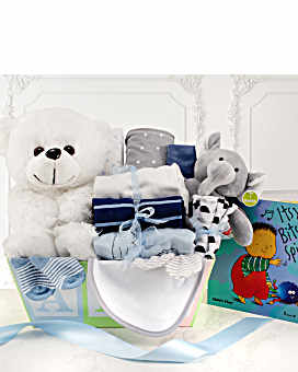Welcome Home Baby Boy Medium Gift Basket