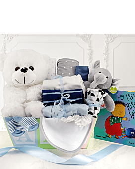 Welcome Home Baby Boy Medium Gift Basket