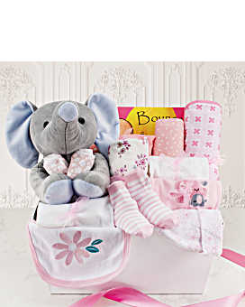 Welcome Home Baby Girl Large Gift Basket