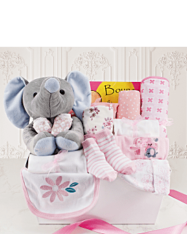 Welcome Home Baby Girl Large Gift Basket