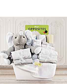 Welcome Home Baby Large Gift Basket