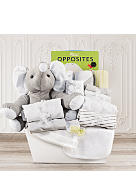 Welcome Home Baby Large Gift Basket