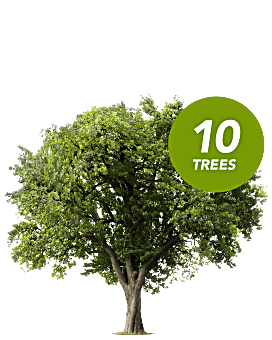 Memorial Trees by The Arbor Day Foundation