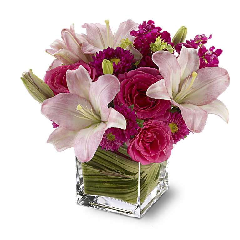 Posh Pinks