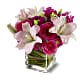 Posh Pinks